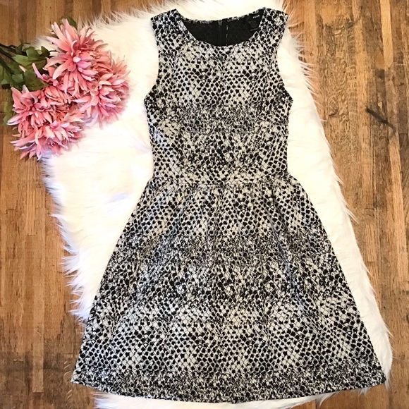aqua black and white dress